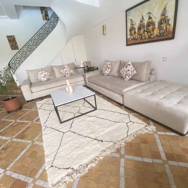 chic beniourain rug in living-room