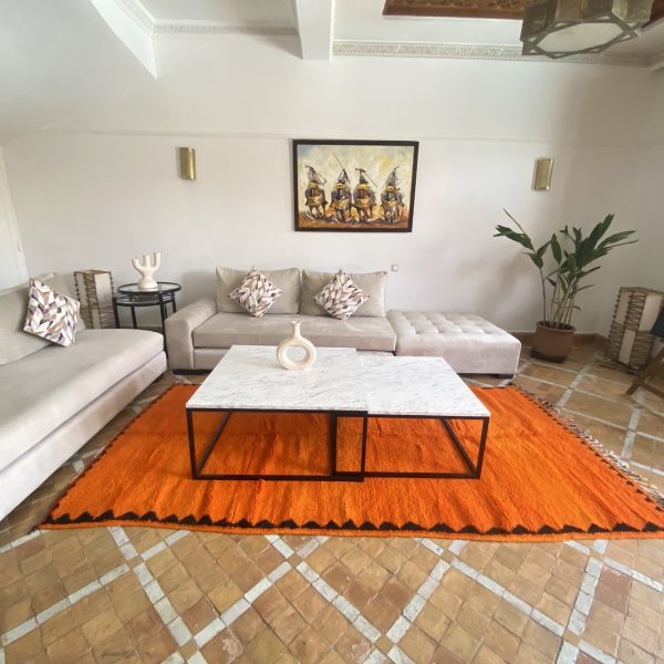 orange rugs in living-room